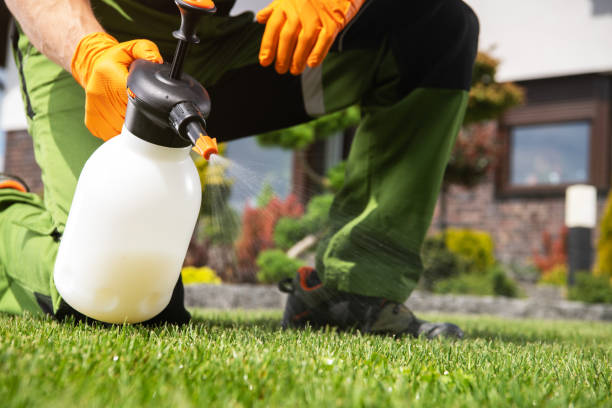 Wasp Removal Services in Lauderdale Lakes, FL