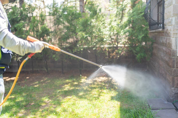 Spider Control Near Me in Lauderdale Lakes, FL