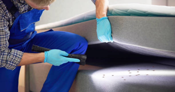 Best Best Pest Control Companies  in Lauderdale Lakes, FL